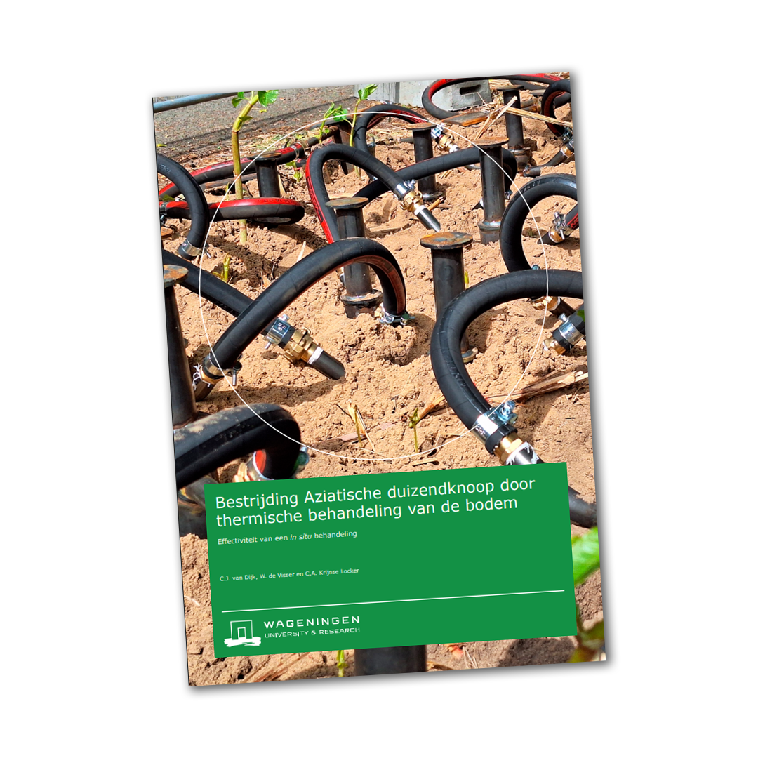 WUR onderzoek thermische behandeling duizendknoop